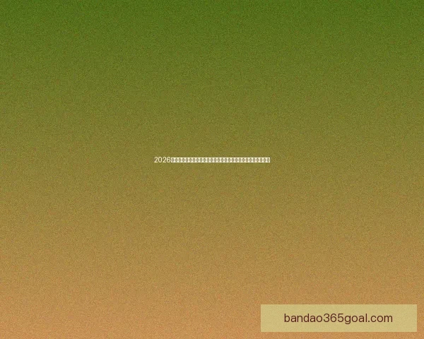 2026世界杯电视直播全方位指南：各大平台观看方法与精彩赛事预告