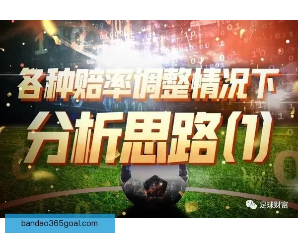 体育竞猜赔率解析：如何通过数据分析提升投注精准度与获胜机会